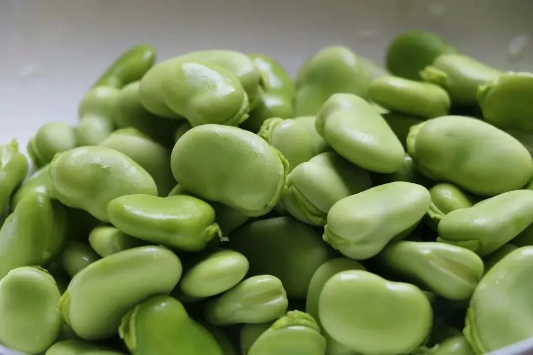 几月份种豆子 2785371239393084705.jpg