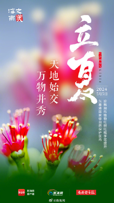 今日立夏！海南这些花花果果太美了