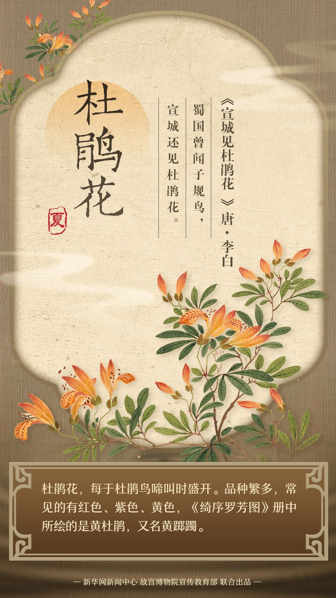 藏在古画里的夏日繁花