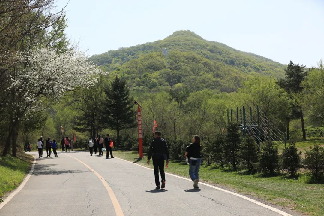 可致命！不易察觉！哈尔滨一医院每天接诊20例