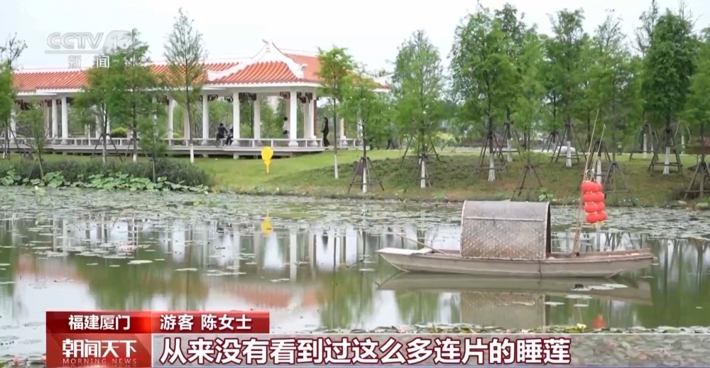 修旧如旧、化绿成金 这些五一“新惊喜”你打卡了吗？
