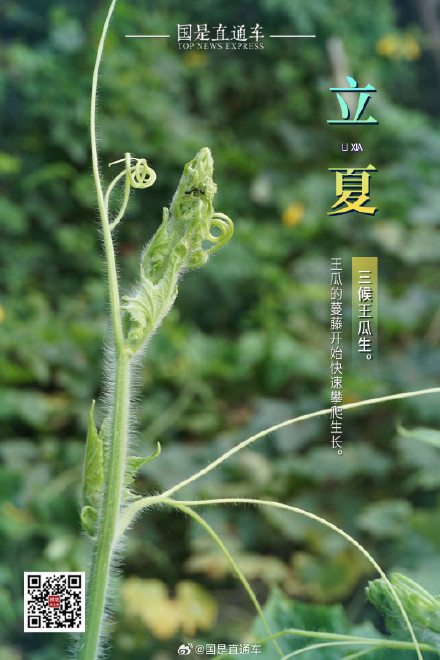 诗句中的24节气:立夏 诗句中的24节气:立夏