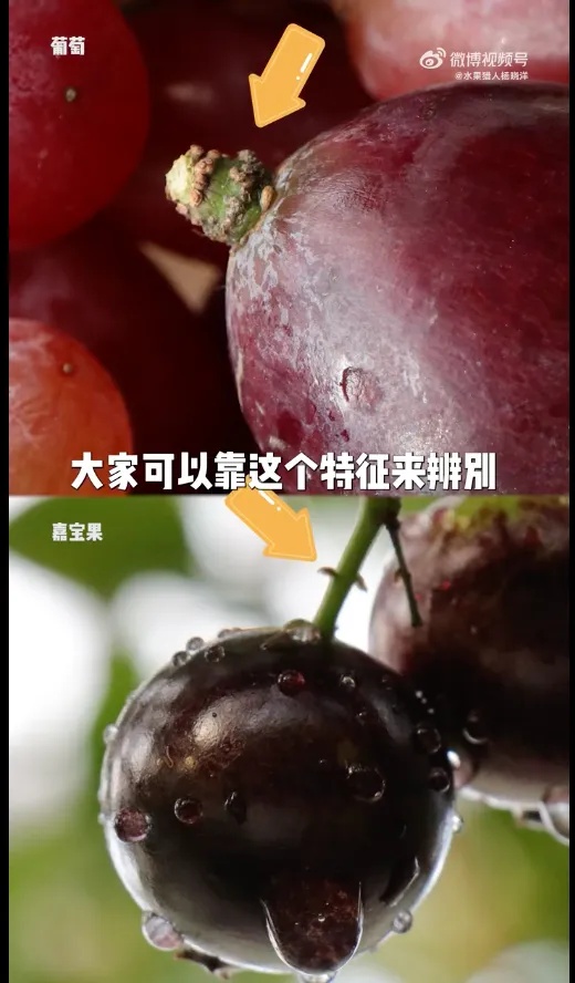 千万别买！高颜值的“智商果”又出来坑人了！
