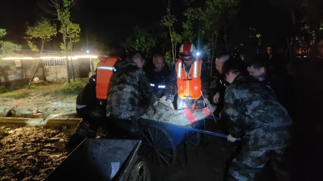 中山暴雨破纪录，4条鳄鱼趁灾出逃！官方回应→