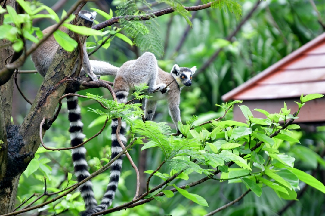 就在今天，正式迎来！这一口鲜，正当时