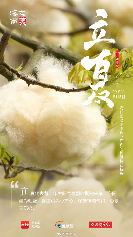 今日立夏！海南这些花花果果太美了