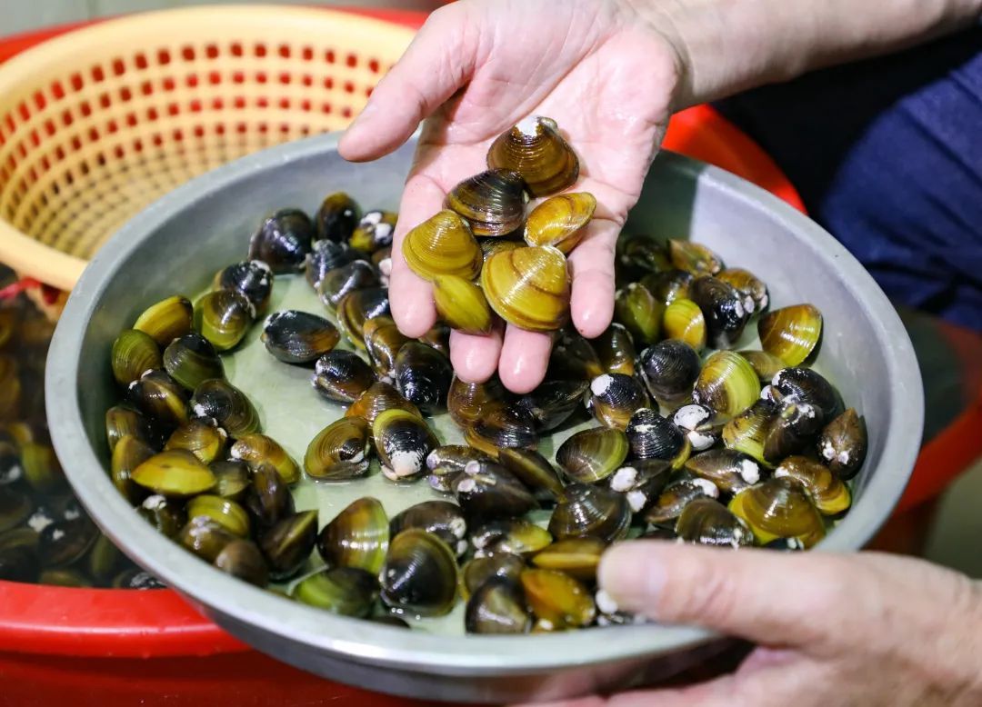 就在今天，正式迎来！这一口鲜，正当时