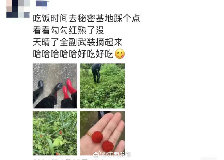 140元一斤!江西人都出动了,很多路边随处可见 140元一斤!江西人都出动了,很多路边随处可见