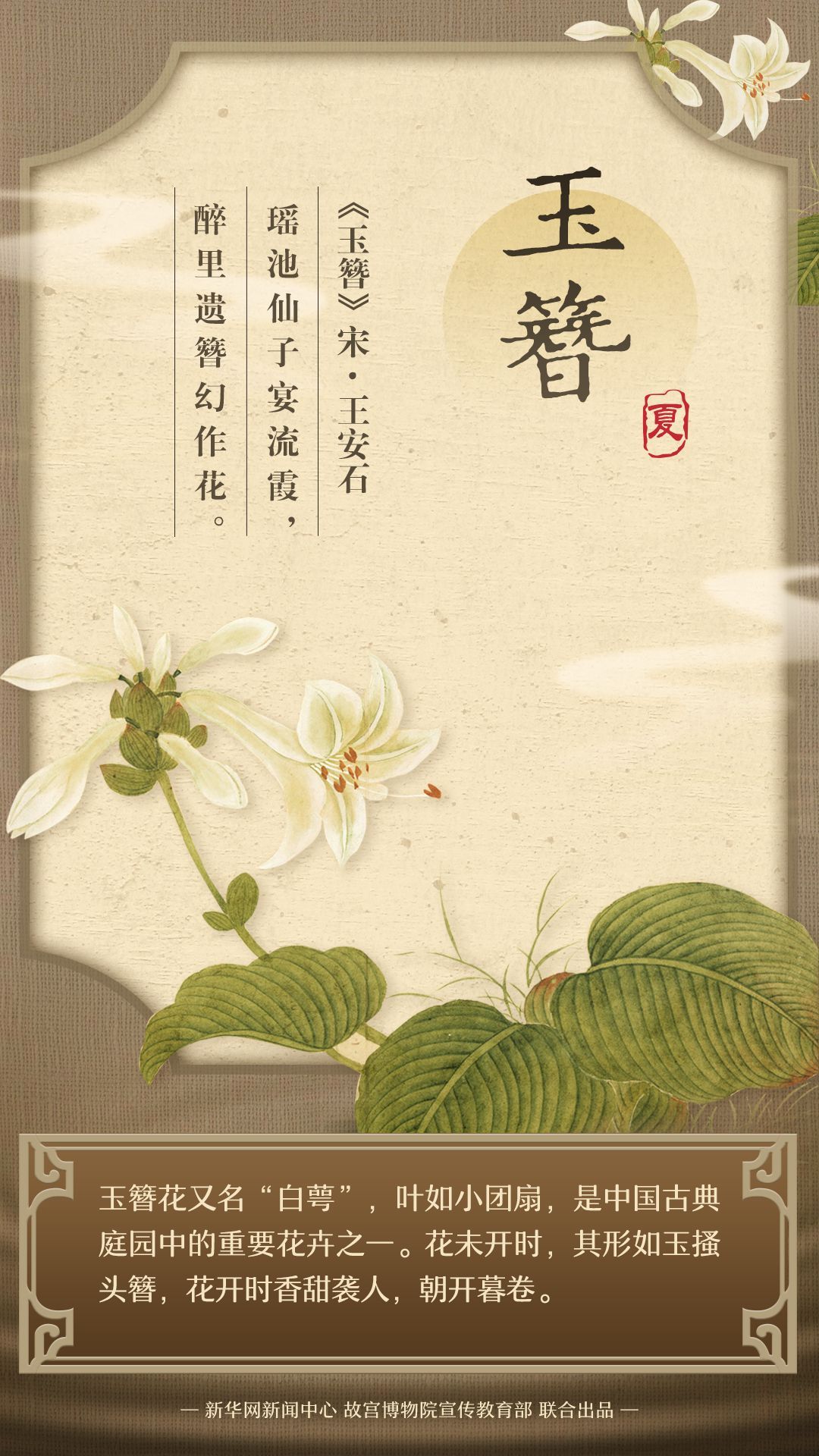 藏在古画里的夏日繁花