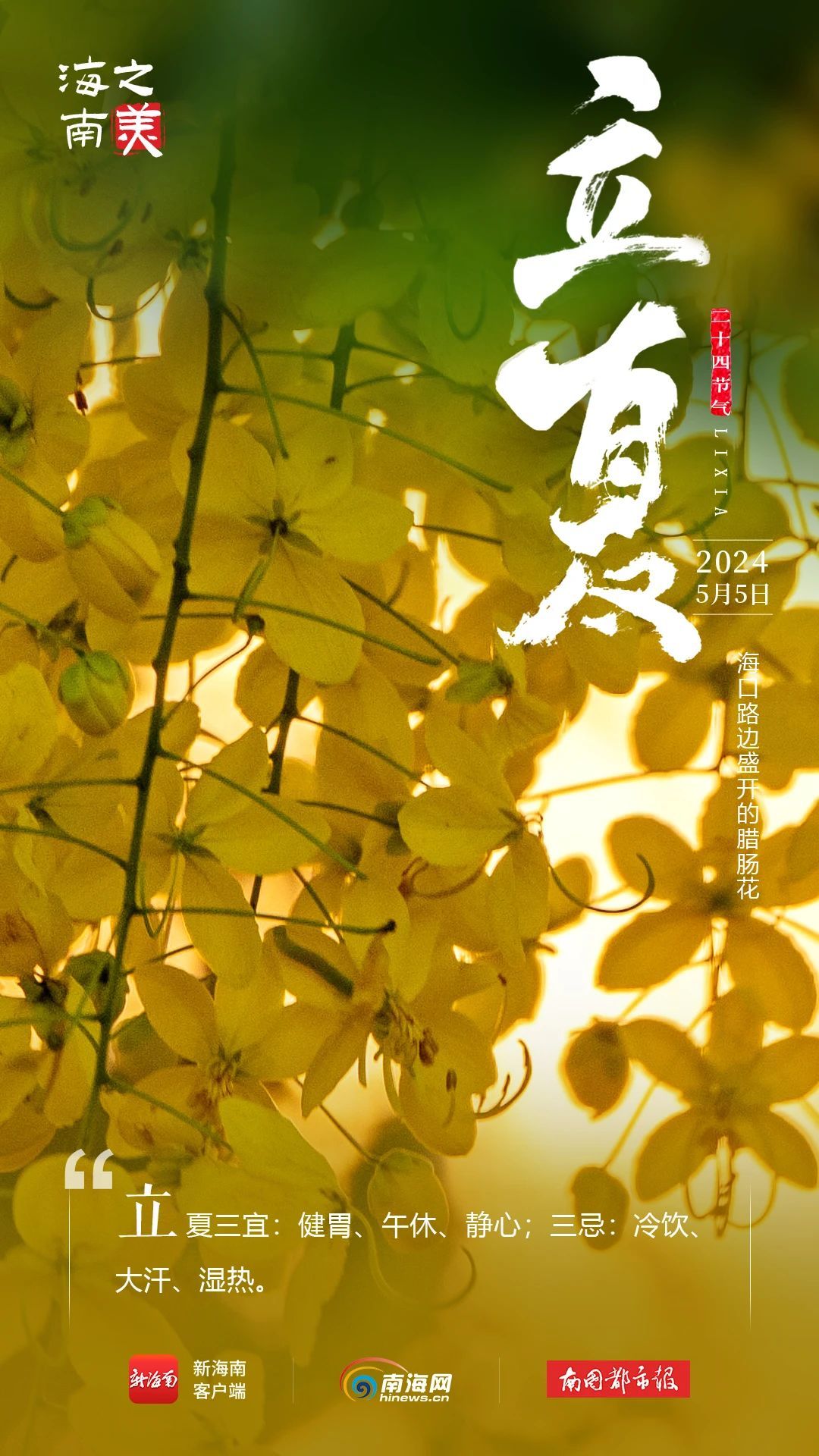 今日立夏！海南这些花花果果太美了