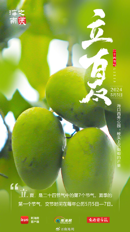 今日立夏！海南这些花花果果太美了