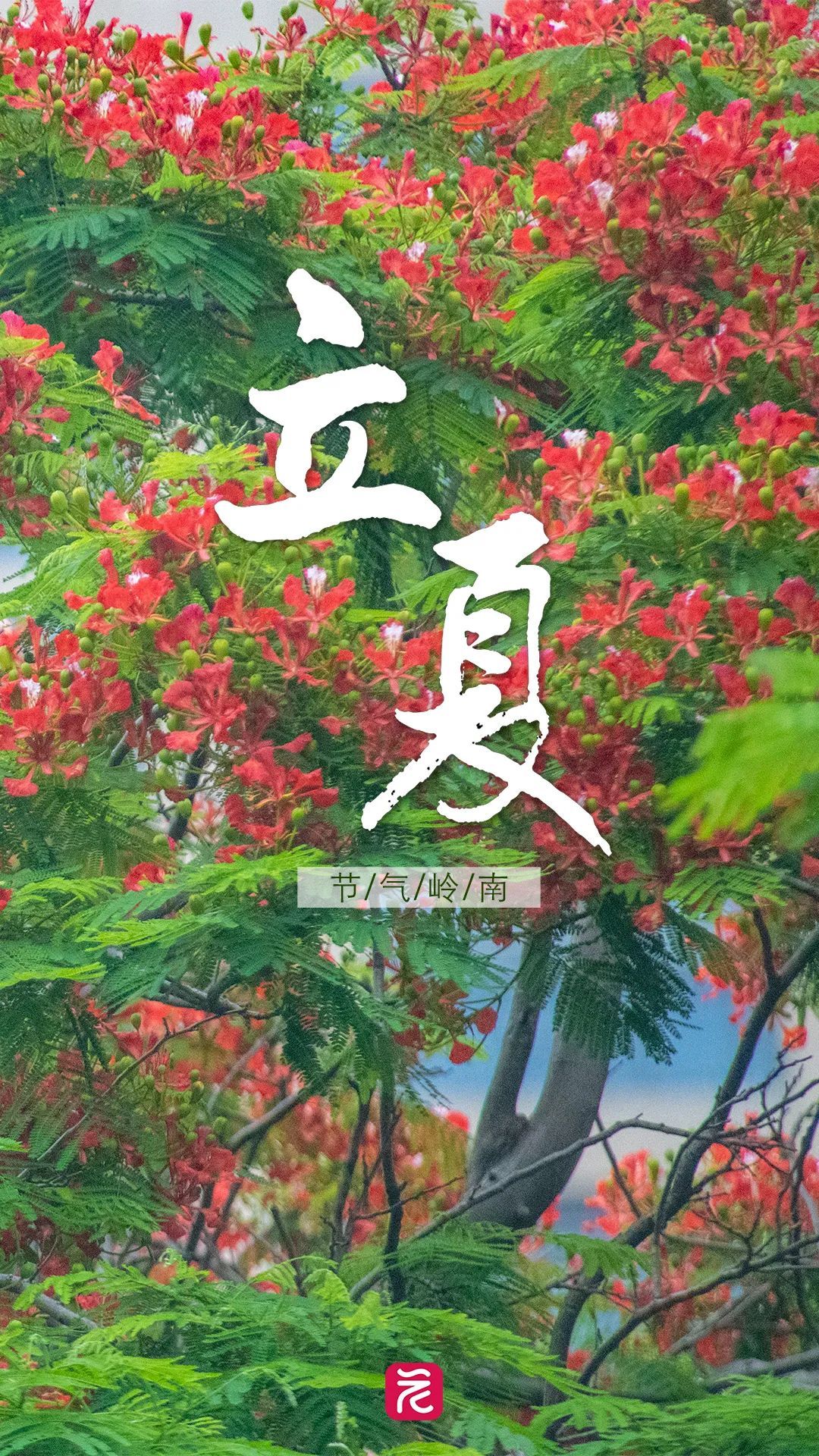 就在今天，正式迎来！这一口鲜，正当时