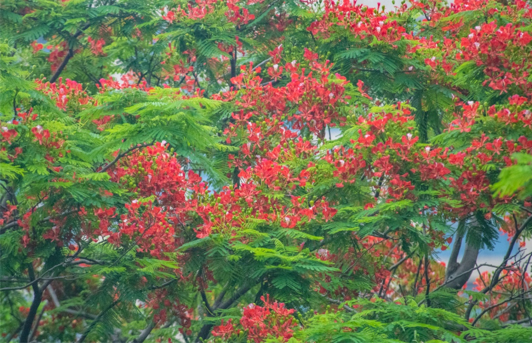 就在今天，正式迎来！这一口鲜，正当时