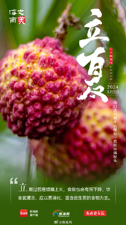 今日立夏！海南这些花花果果太美了