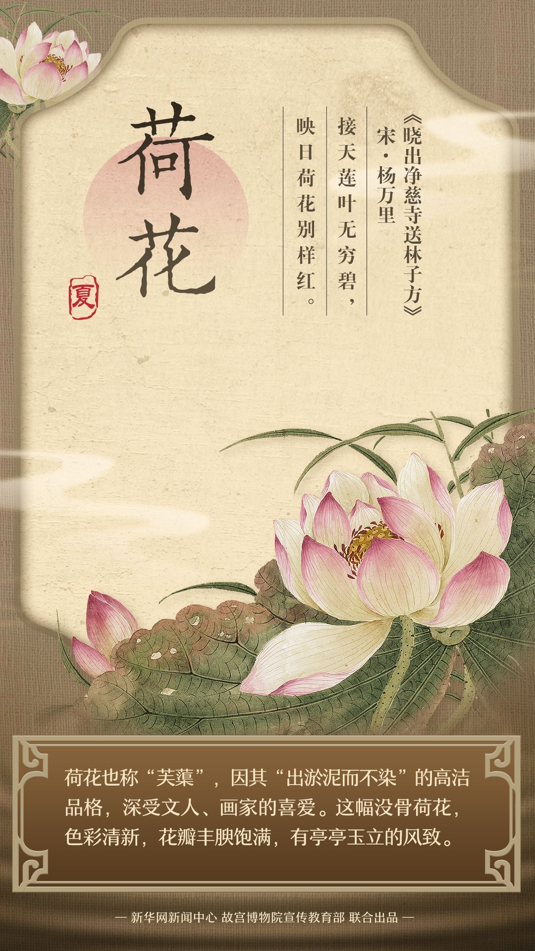 藏在古画里的夏日繁花