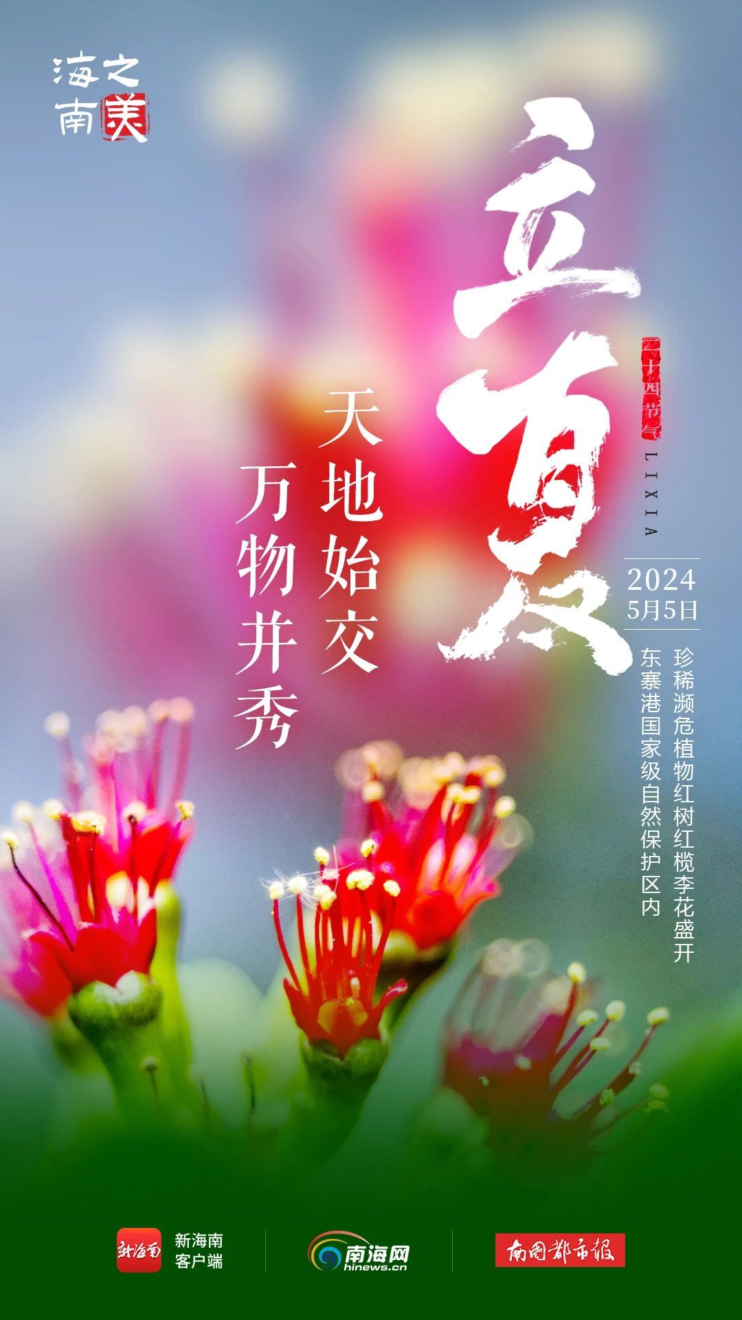 今日立夏！海南这些花花果果太美了