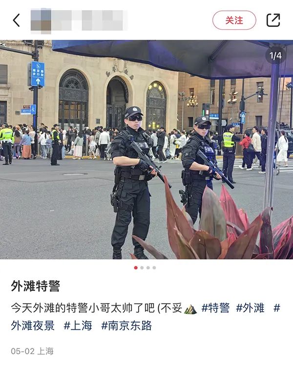 这几天，上海的他们“火出圈”！