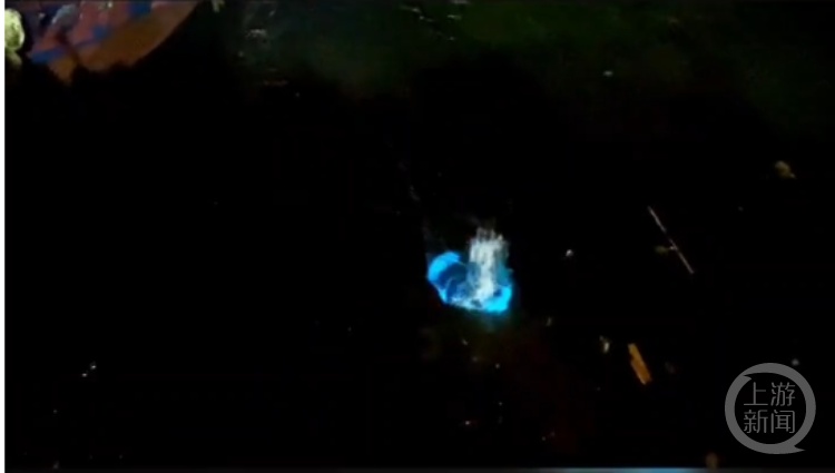 福建平潭游客买石头扔海赏玩“蓝眼泪” ，当地文旅回应