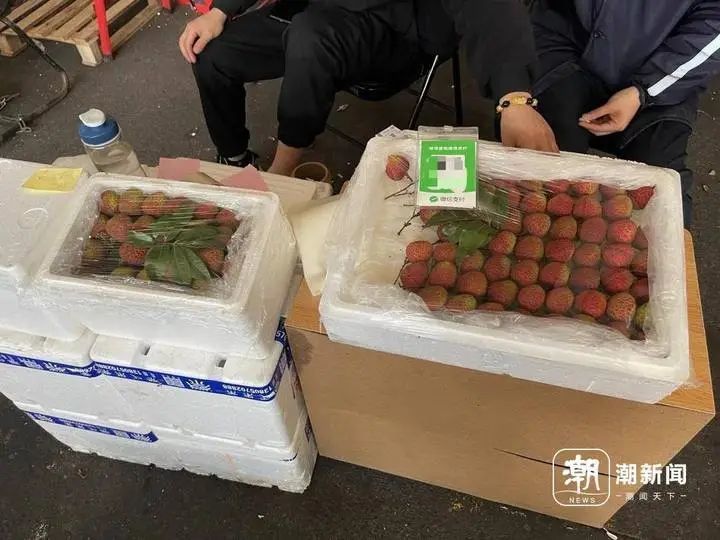 接连上市！一个跌价一半，一个贵到肉痛