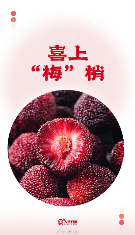 转存夏日谐音祝福文案，愿你遇见所有美好
