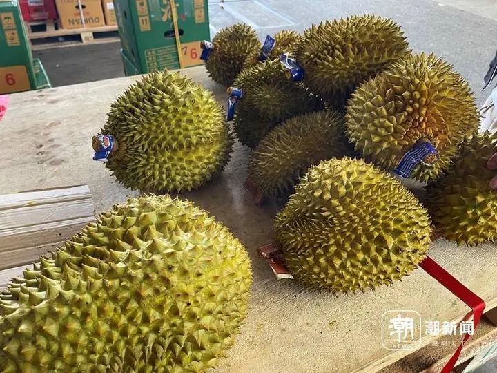 接连上市！一个跌价一半，一个贵到肉痛