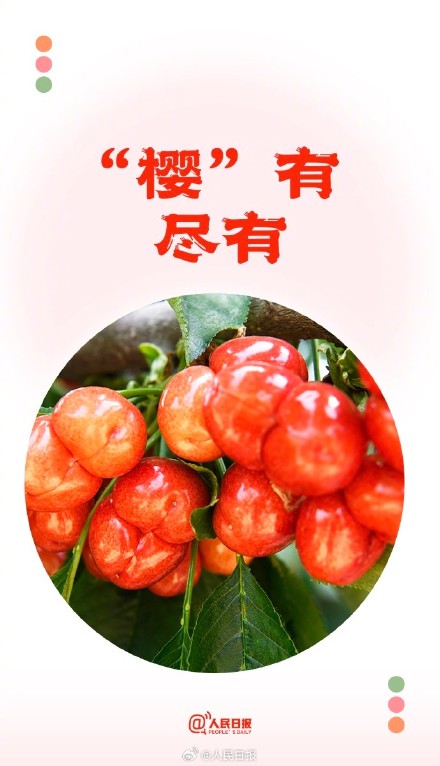 转存夏日谐音祝福文案，愿你遇见所有美好