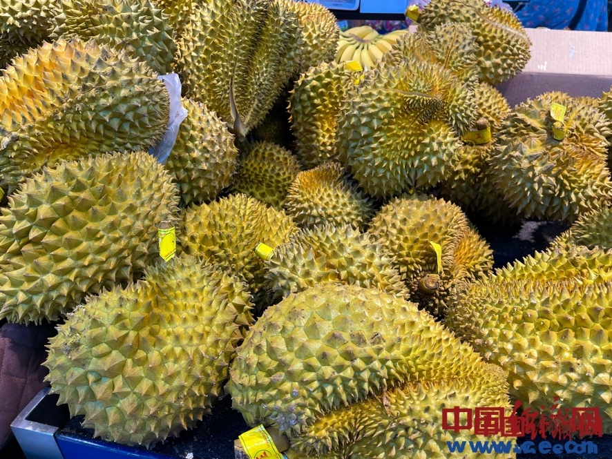 突发跳水，已经“腰斩”！商家：一天一个价，可能还会跌