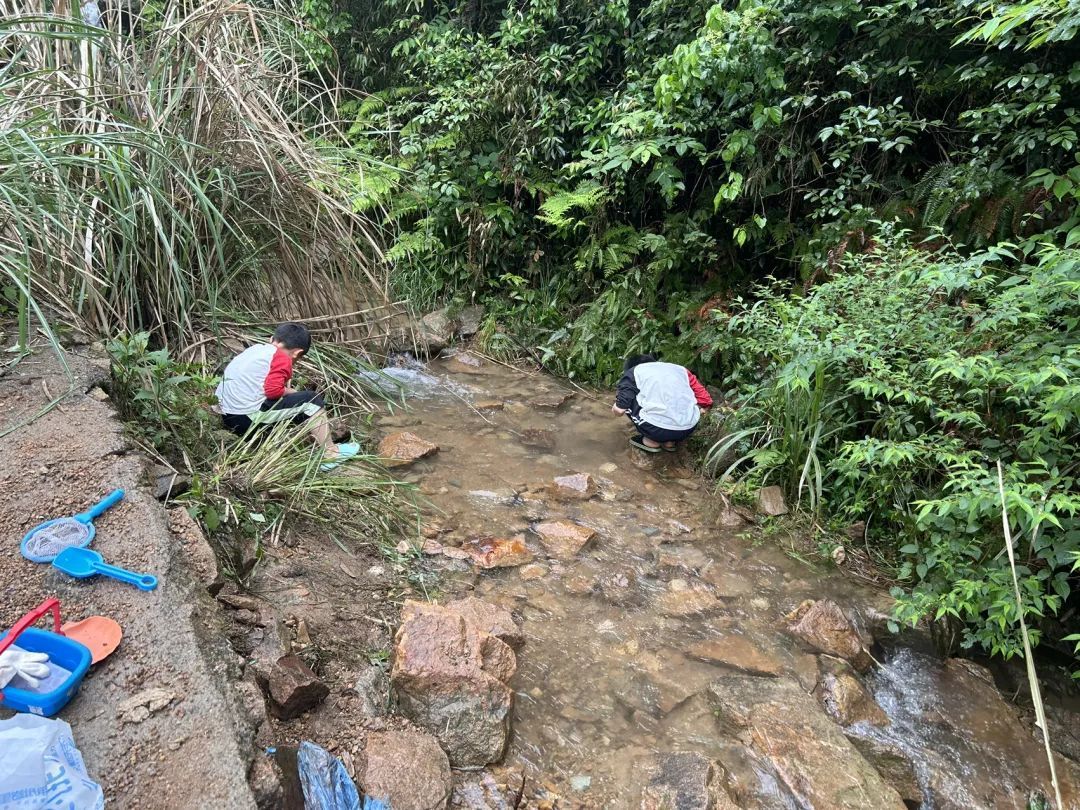 杭州一村子火了，每天几百人进山挖呀挖，就为了一件事