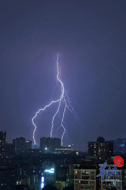 风雨雷电雹都来了！11区齐挂预警，广州启动防暴雨内涝三级应急响应