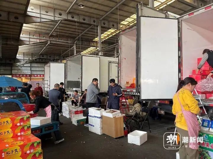 接连上市！一个跌价一半，一个贵到肉痛