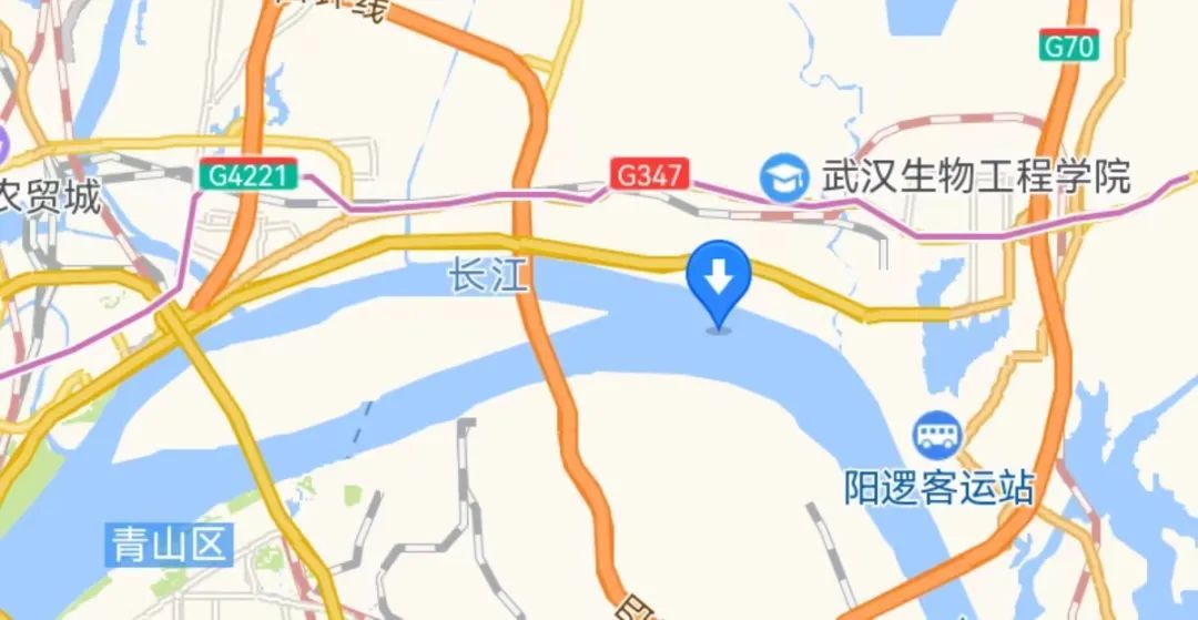 “快看，江豚离我们好近”