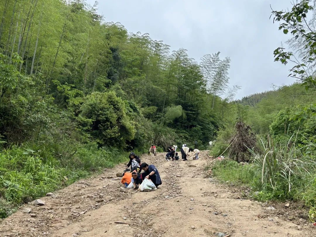 杭州一村子火了,每天几百人进山挖呀挖,就为了一件事