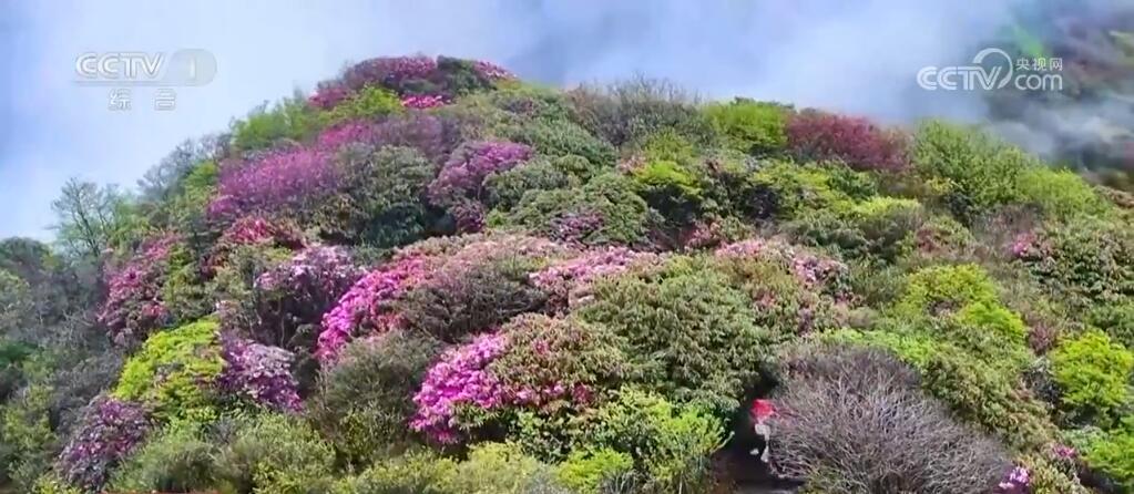 “火热”数据折射假日经济“热度” 感知我国消费市场强大韧性和潜力