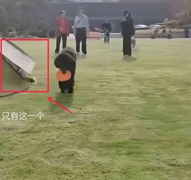 事发上海知名酒店!疑似领导辱骂威胁保安“饭碗不保”?最新回应→ 事发上海知名酒店!疑似领导辱骂威胁保安“饭碗不保”?最新回应→