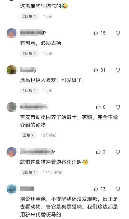 火爆社交网络！数万人打卡“熊猫犬”？一地动物园回应