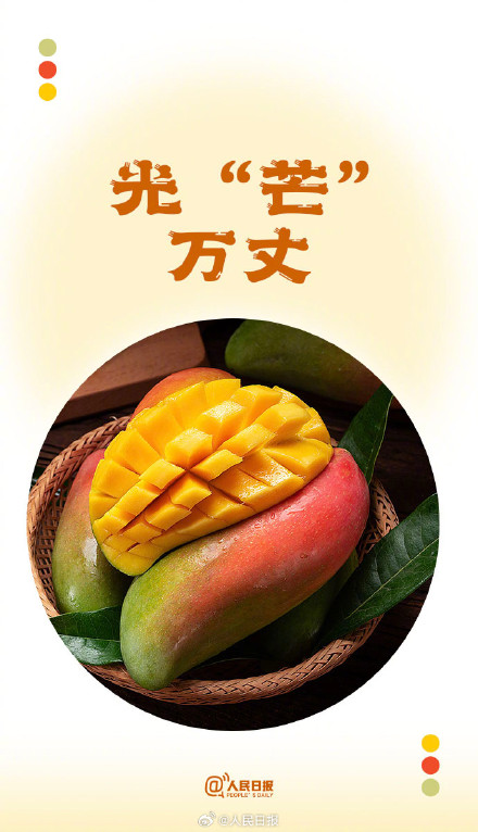转存夏日谐音祝福文案，愿你遇见所有美好