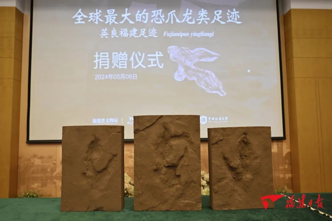 就在福建！全球重大发现！