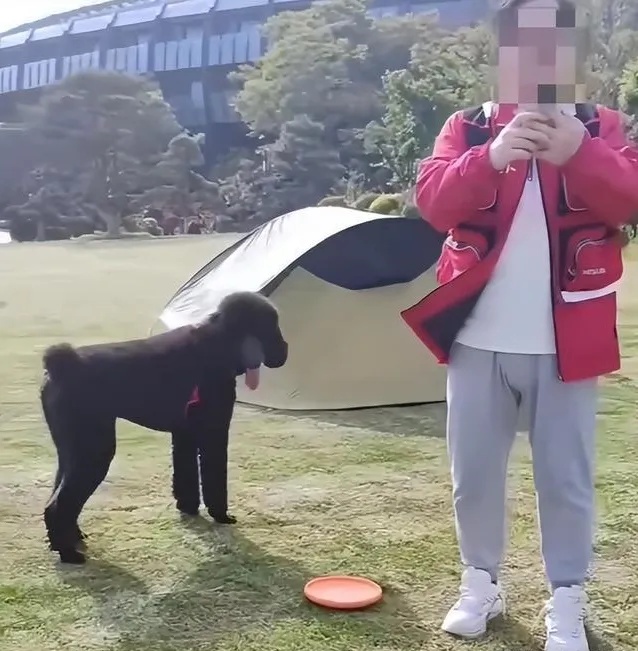 事发上海知名酒店!疑似领导辱骂威胁保安“饭碗不保”?最新回应→ 事发上海知名酒店!疑似领导辱骂威胁保安“饭碗不保”?最新回应→