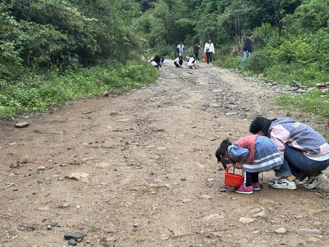 杭州一村子火了，每天几百人进山挖呀挖，就为了一件事