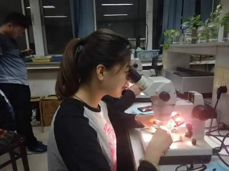 恭喜！女特种兵考上浙大研究生