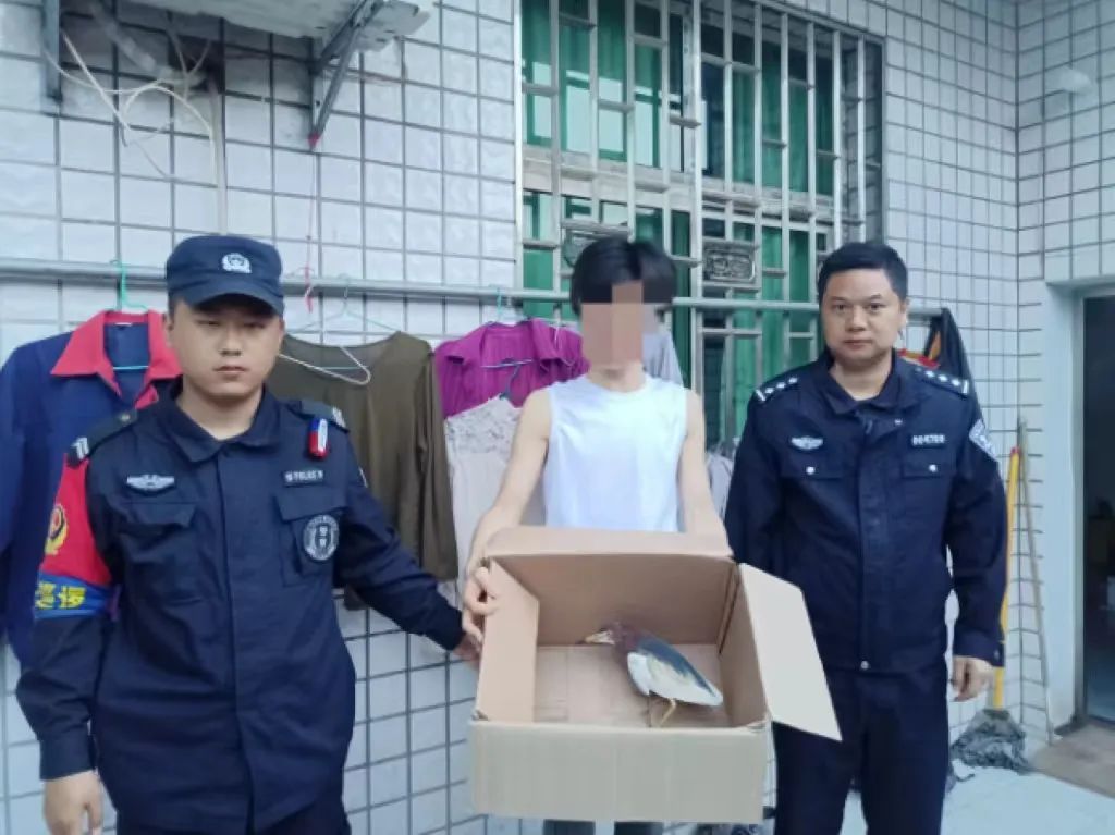 身披蓑衣的“小鸟”，原来是国家“三有”保护动物！