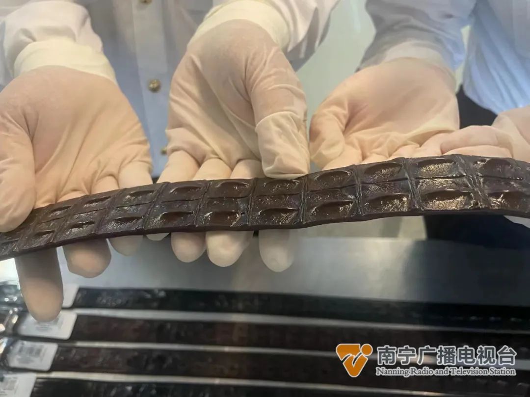 行李箱的“宝贝”，竟是濒危动物制品