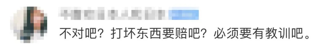 热搜第一！小孩打碎近12万元瓷瓶被全额免赔，网友吵翻