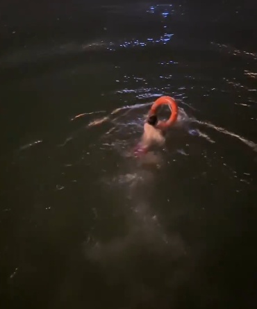 00后退伍小伙夜晚跳北海救人，母亲心疼！