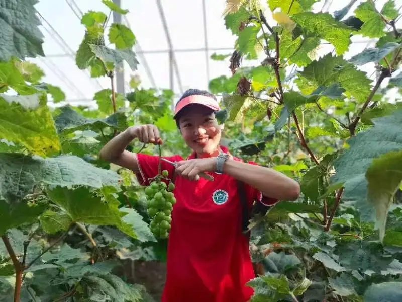 太酷了!这下真给她成了特种兵大学生 太酷了!这下真给她成了特种兵大学生