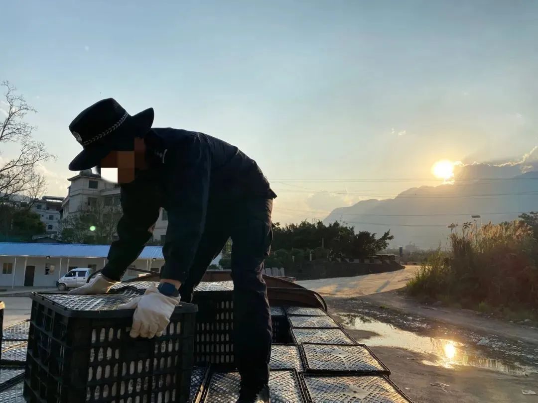 一等功×15,二等功×295!这个“90后+00后天团”咋这么牛? 一等功×15,二等功×295!这个“90后+00后天团”咋这么牛?