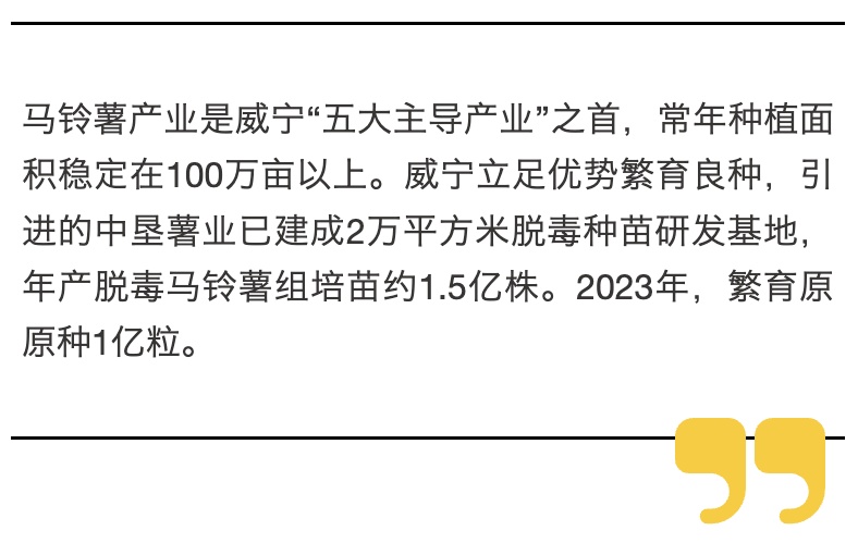 贵州威宁盛产“没有土的土豆”！