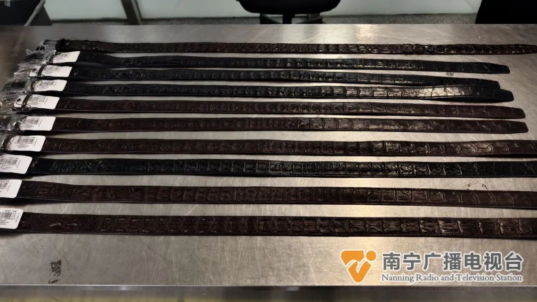 行李箱的“宝贝”，竟是濒危动物制品