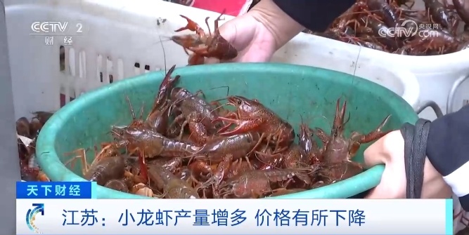 小龙虾低至8元/斤！有大排档一天能卖超1000斤，你爱吃吗？