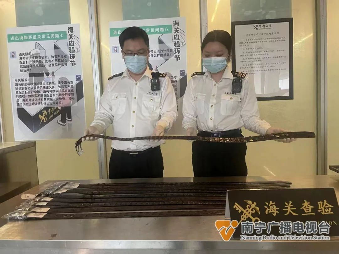 行李箱的“宝贝”，竟是濒危动物制品